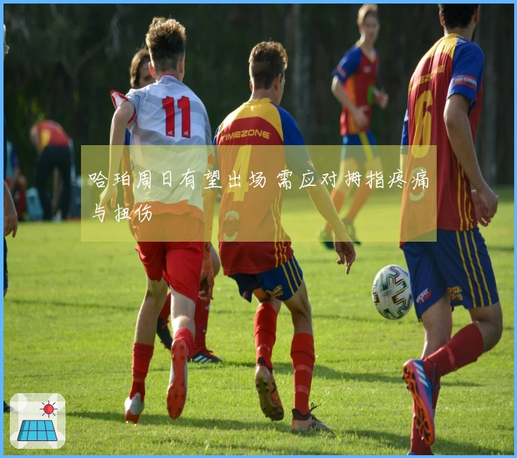 哈珀周日有望出场 需应对拇指疼痛与扭伤